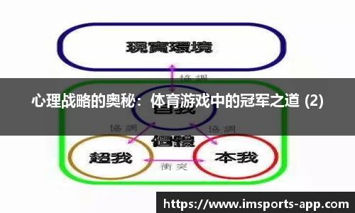 心理战略的奥秘：体育游戏中的冠军之道 (2)